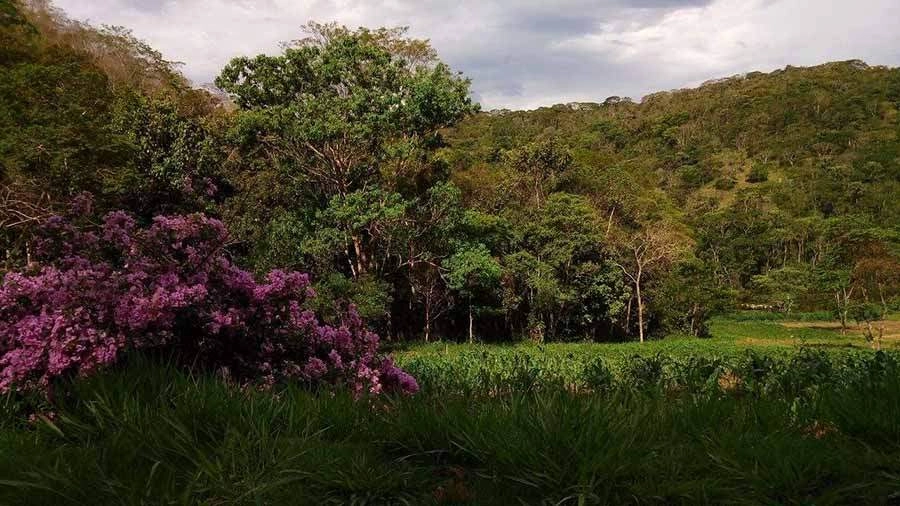 Conviver numa fazenda do século XXI, com uma comunidade unida nesse propósito
