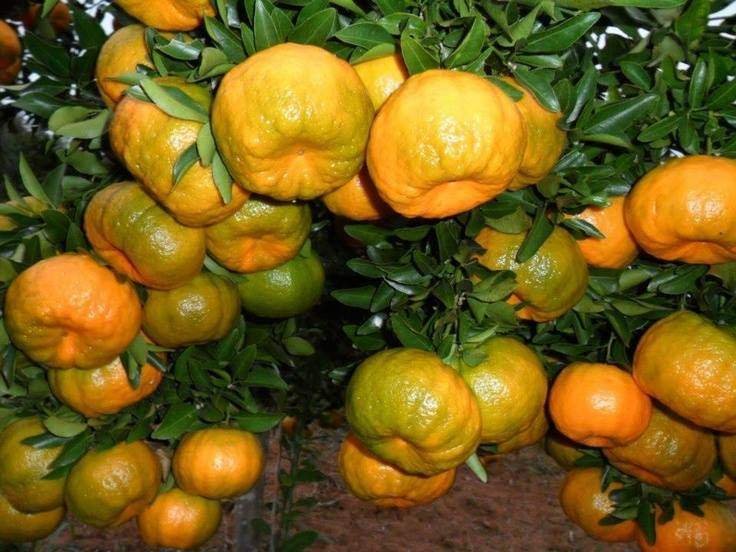 jpeg-optimizer-92952625_2614301432127009_522438657949302784_n.jpg